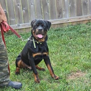 Meet your Posher, Nancy